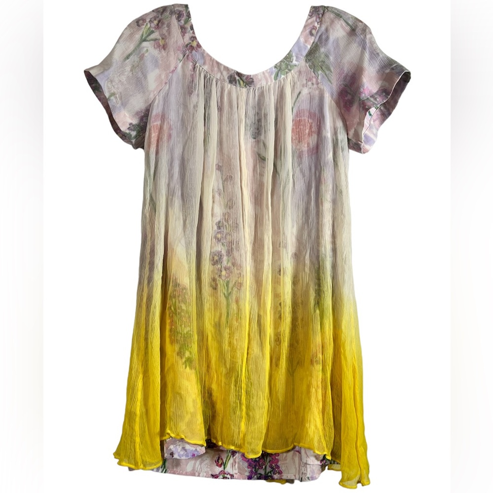 HD in Paris Anthropologie Dress 10 Satin Floral Layered Sheer Ombré